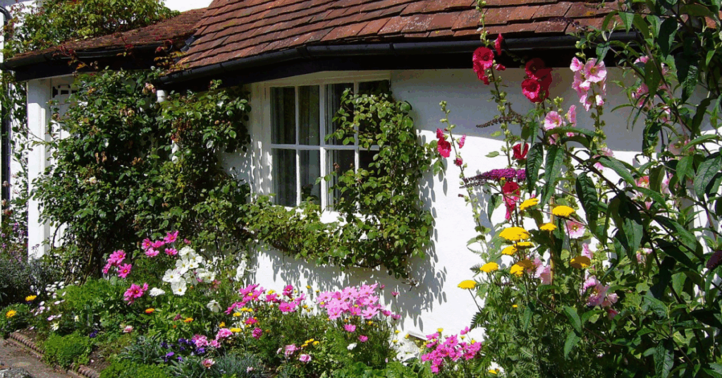 a cute cottage with stunning plants and flowers growing up and around it
