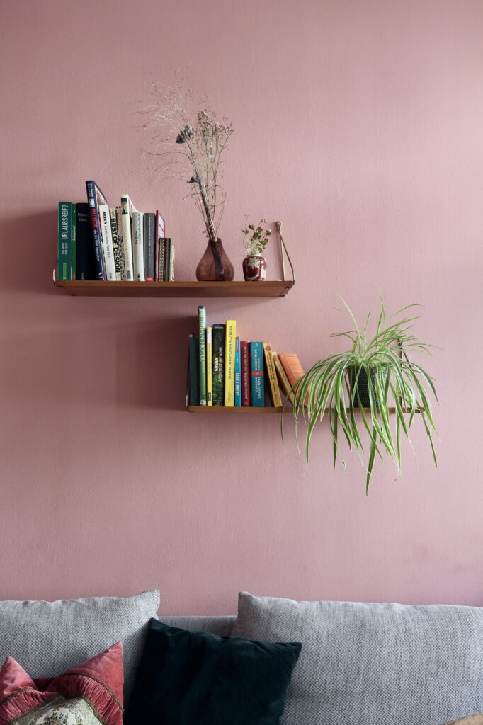 a spider p[lant on a shelf with books. There's another shelf above with books and dried flowers on a pink wall
